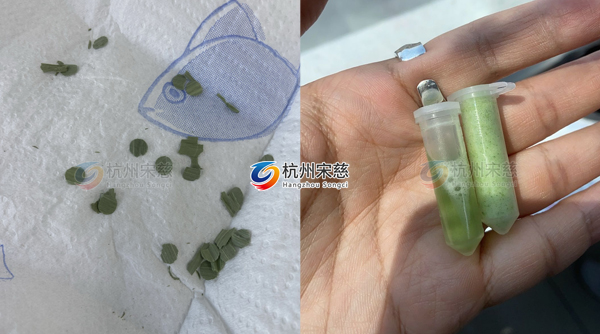 利用高通量組織研磨儀快速高效率實現植物干葉片研磨實驗